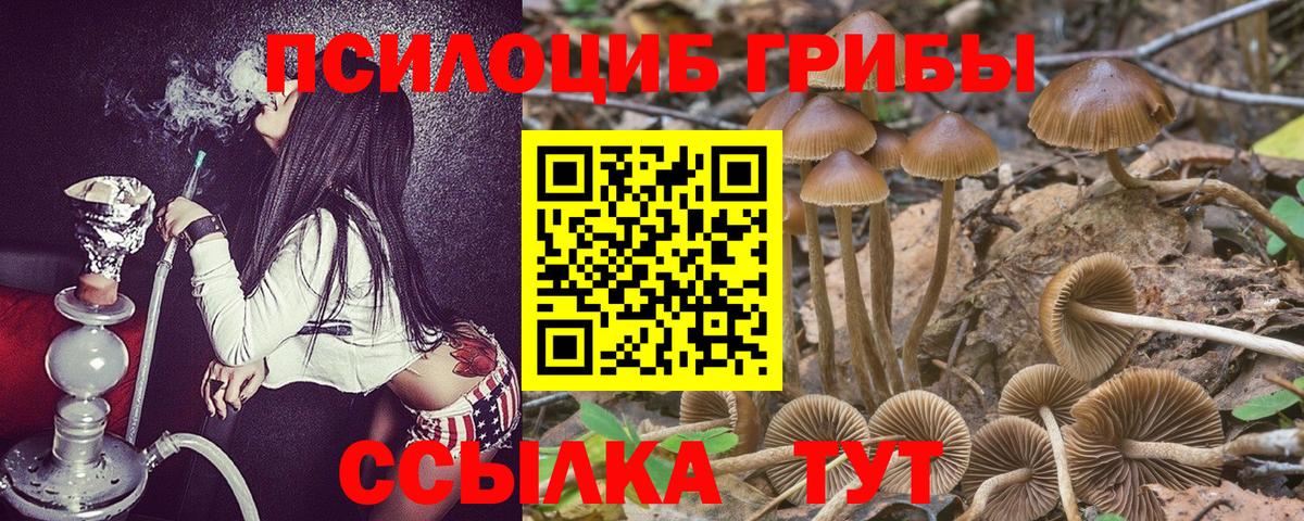 Галлюциногенные грибы MAGIC MUSHROOMS Прохладный
