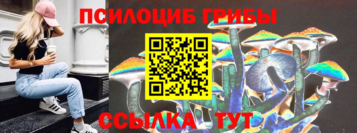 Галлюциногенные грибы Cubensis  Псилоцибиновые грибы ЛСД  Вход с VPN  Прохладный 